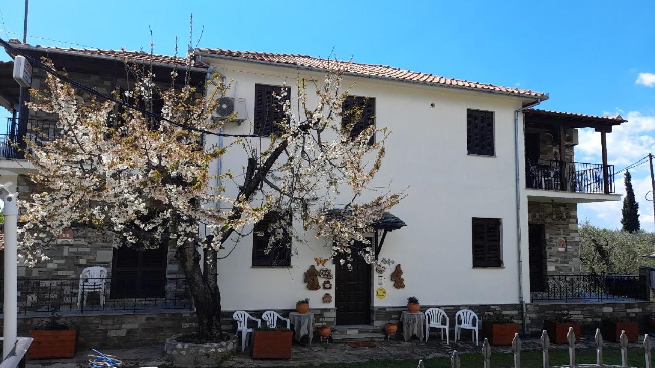 Studio Sevasti Καλά Νερά Εξωτερικό φωτογραφία